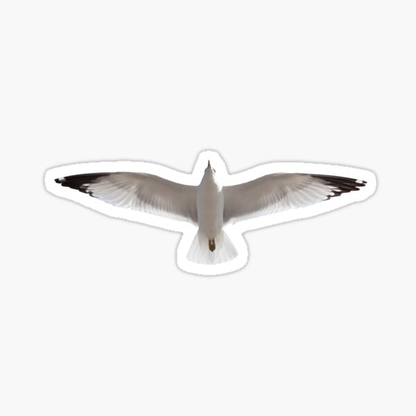 Item preview, Sea Gull in Flight designed and sold by Mackabee.