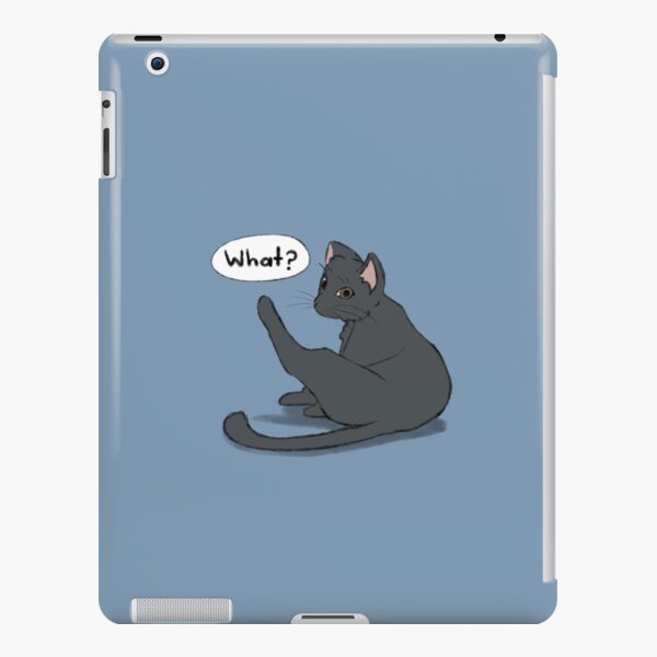 What? iPad Snap Case