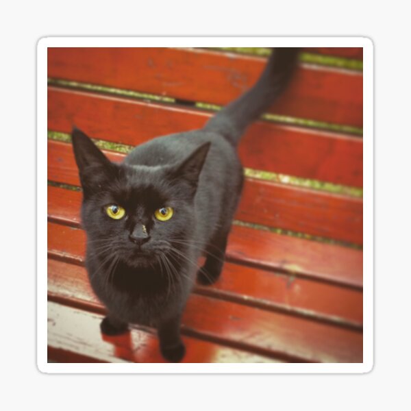 Item preview, yellow eyes designed and sold by HalinaJ.