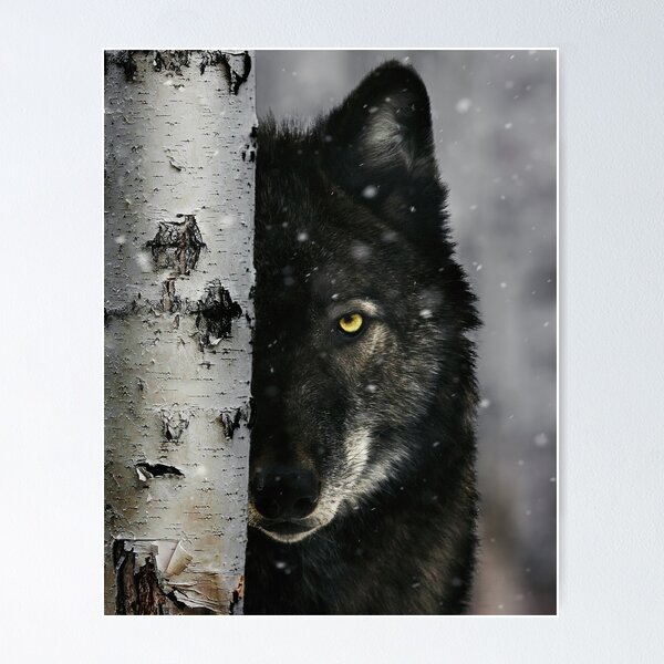 Item preview, North American Gray Wolf designed and sold by Jessica Kirste.