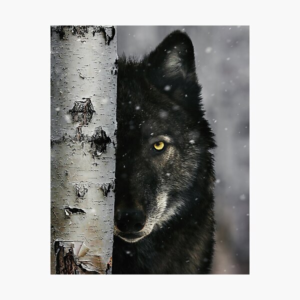 120 Therian ideas  wolf spirit, wolf dog, wolf pictures