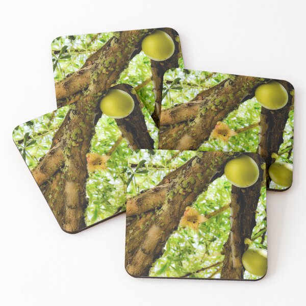 Item preview, Calabash Branches - zoom designed and sold by Millerstef.
