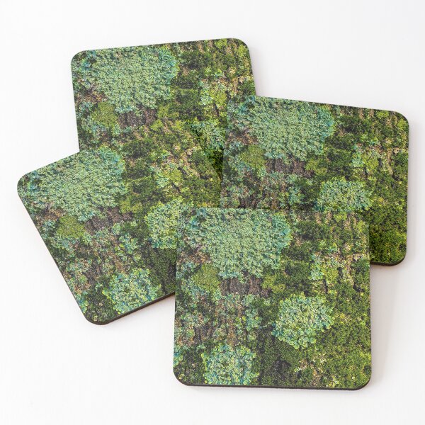 Item preview, Moss - Nature Pattern designed and sold by BaldingSnail.