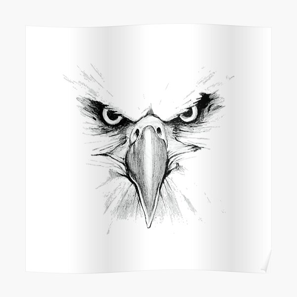 Eagle Face Posters for Sale | Redbubble