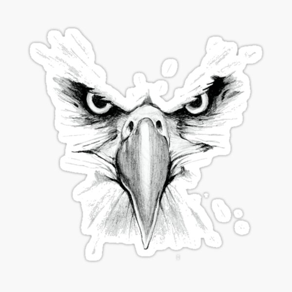 Eagle Face Vector Art, Icons, and Graphics for Free Download