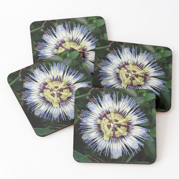 Item preview, Passion Flower designed and sold by SweepingShadows.