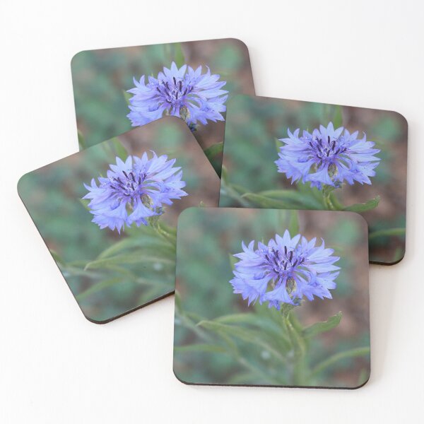 Item preview, Cornflower designed and sold by SweepingShadows.