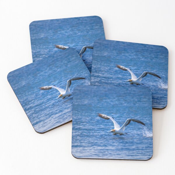Item preview, Gannet Take Off #2 designed and sold by DVart-nz.