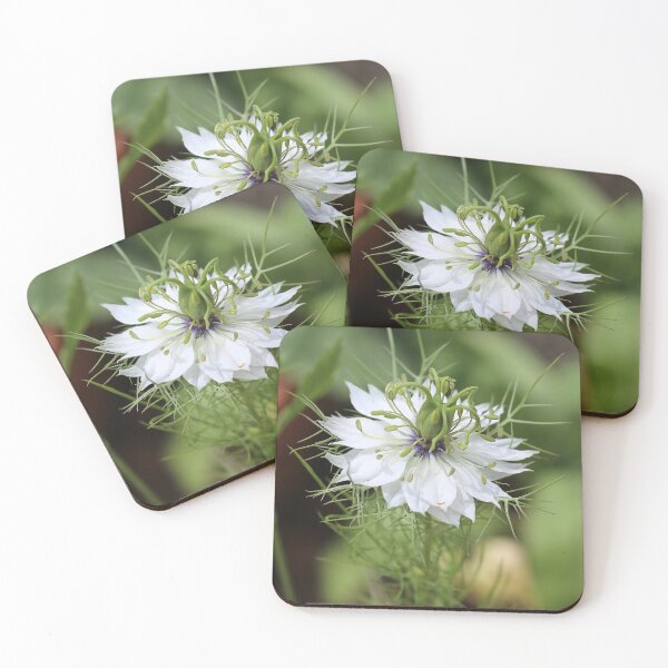 Item preview, Nigella damascena designed and sold by SweepingShadows.
