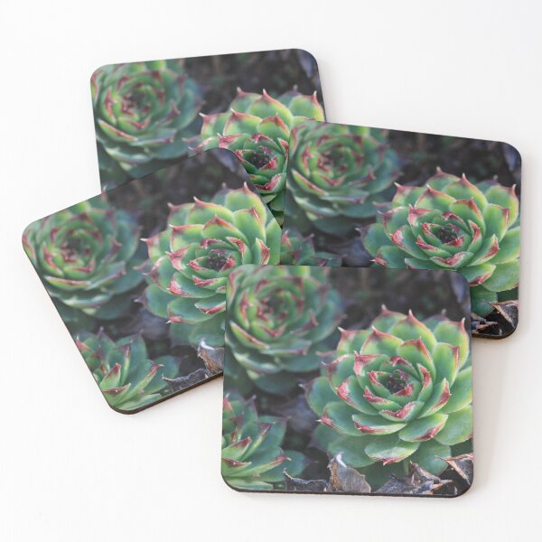 Item preview, Frosty Succulents designed and sold by SweepingShadows.