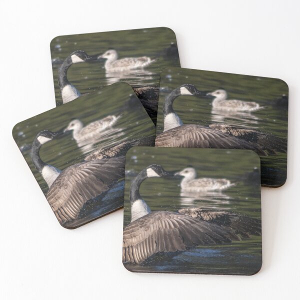 Item preview, Goose landing designed and sold by Paul Madden.