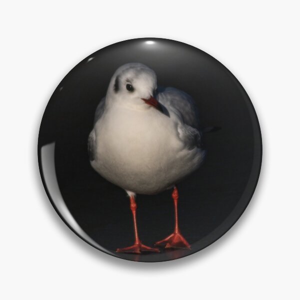 Item preview, Gull in ice designed and sold by Paul Madden.