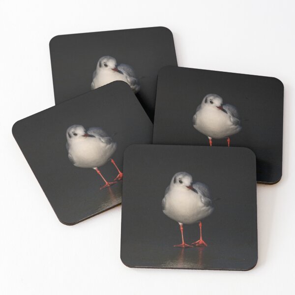 Item preview, Gull in ice designed and sold by Paul Madden.