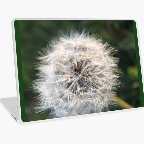 Dandelion Laptop Skin