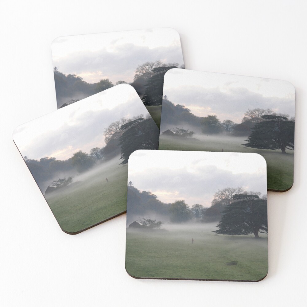Item preview, Coasters (Set of 4) designed and sold by InShinFrog.