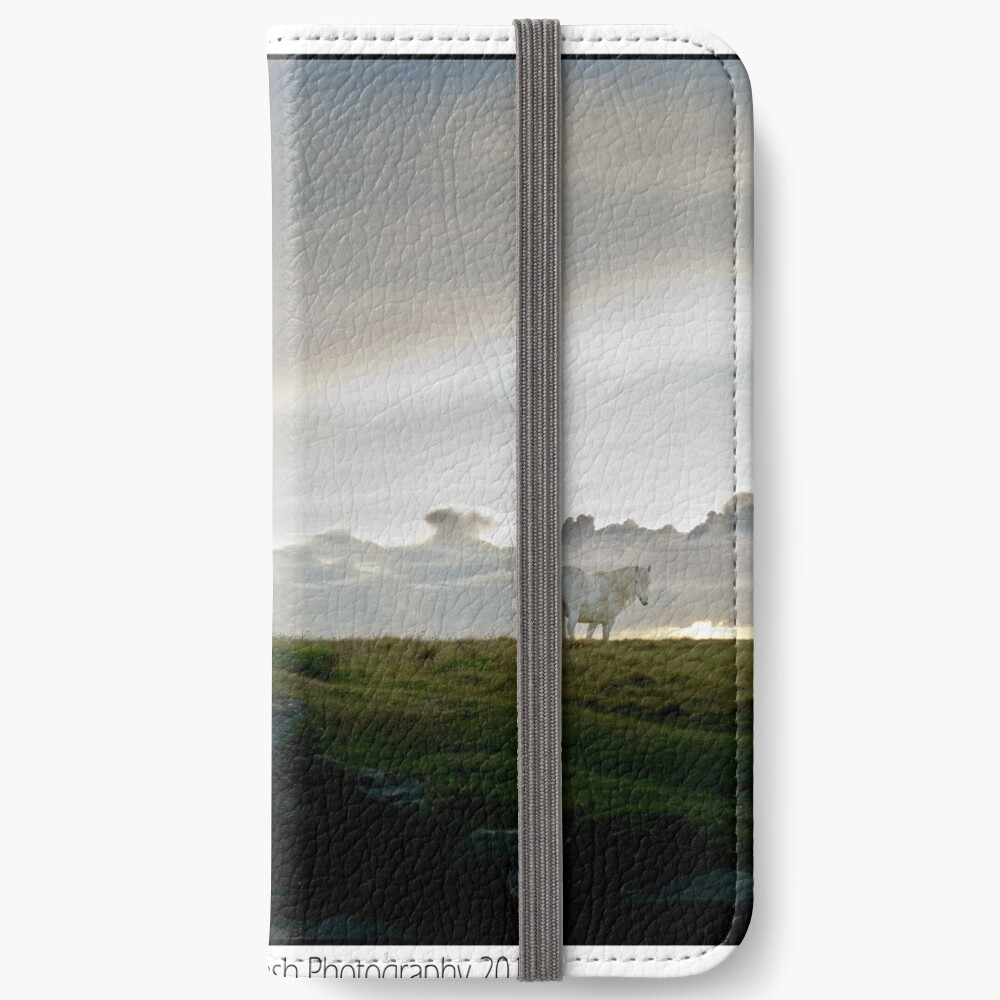 Horse on Llanddwyn Island, Newborough, Anglesey iPhone Wallet