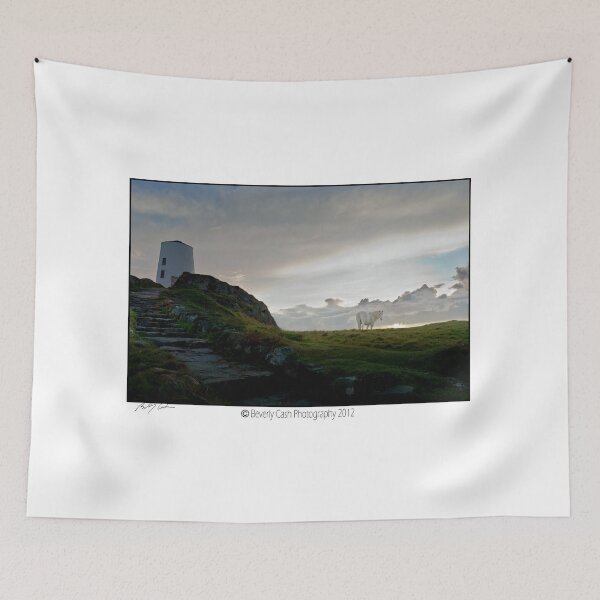 Item preview, Horse on Llanddwyn Island, Newborough, Anglesey designed and sold by bcash.