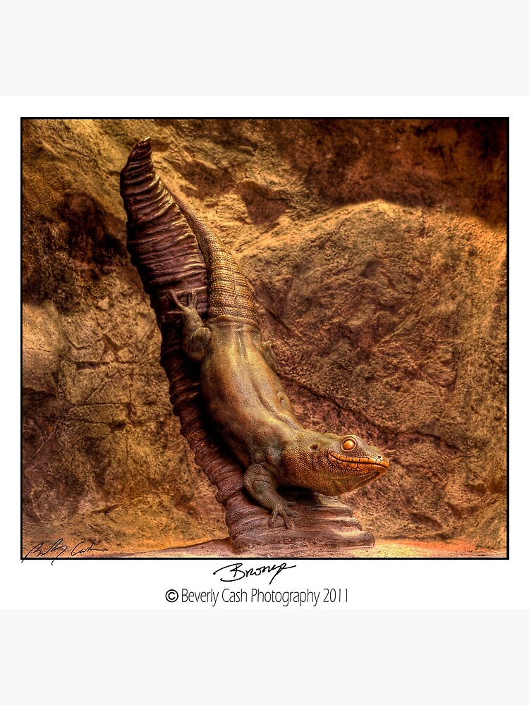 iguana statue by bcash