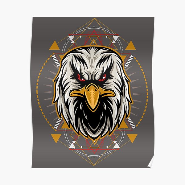 Quantum Graphics on X: Philadelphia Eagles Uniform Concept!! #Eagles  #BirdGang #FlyEaglesFly #NFL #Football #sports #GoEagles @DeMarcoMurray   / X