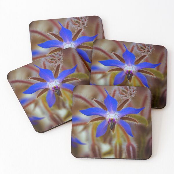 Item preview, Borage flower  designed and sold by DVart-nz.