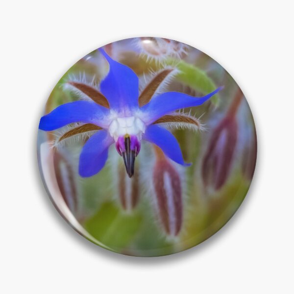 Item preview, Borage flower #2 designed and sold by DVart-nz.