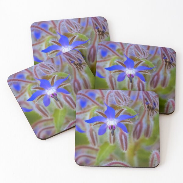 Item preview, Borage flower #2 designed and sold by DVart-nz.