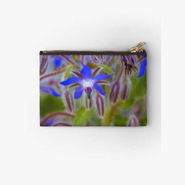 Item preview, Borage flower #2 designed and sold by DVart-nz.