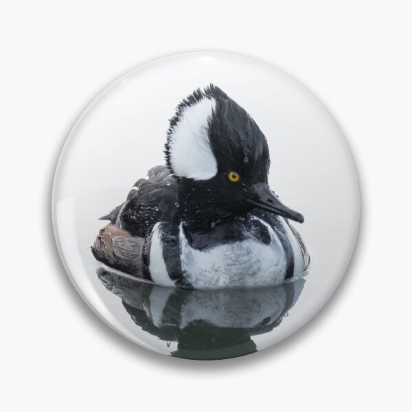 Item preview, Hooded merganser bird portrait designed and sold by wendy4496.