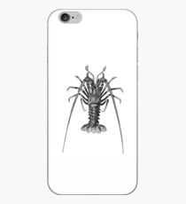 Vintage Spiny Lobster Illustration Retro 1800s Black and White Image iPhone Case