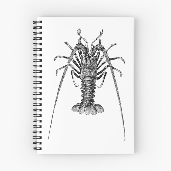 Item preview, Vintage Spiny Lobster Illustration Retro 1800s Black and White Image designed and sold by SilverSpiral.