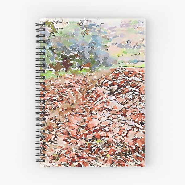 Item preview, Hortus Conclusus: plowed field designed and sold by Giuseppe Cocco.