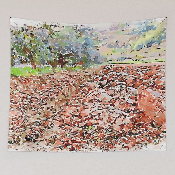 Item preview, Hortus Conclusus: plowed field designed and sold by Giuseppe Cocco.