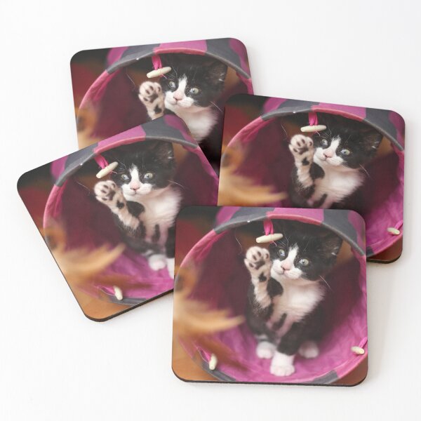 Item preview, Playful kitten designed and sold by GreyFeatherPhot.