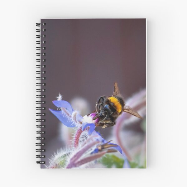 Item preview, Bumble on Borage designed and sold by DVart-nz.
