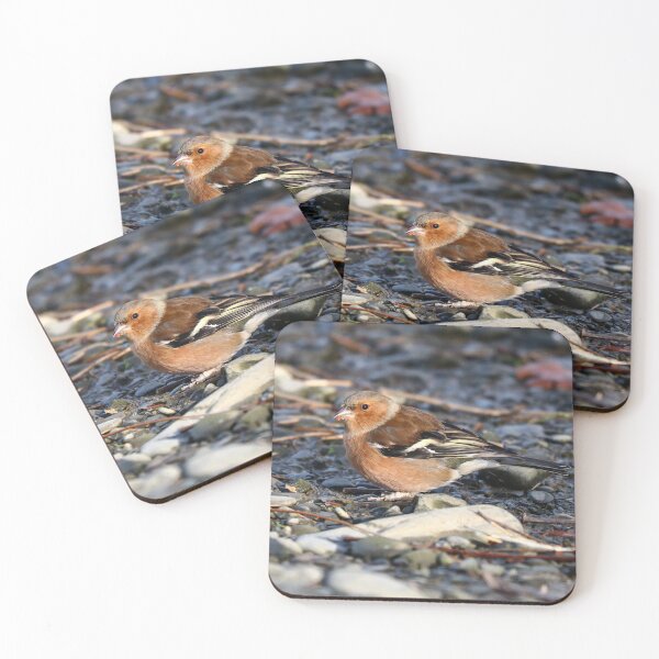 Item preview, Sunlit chaffinch designed and sold by GreyFeatherPhot.