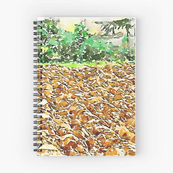 Item preview, Hortus Conclusus: plowed field designed and sold by Giuseppe Cocco.