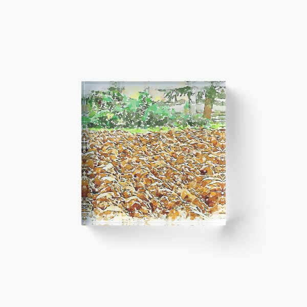 Item preview, Hortus Conclusus: plowed field designed and sold by Giuseppe Cocco.