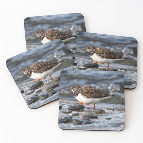 Item preview, Wading turnstone designed and sold by GreyFeatherPhot.