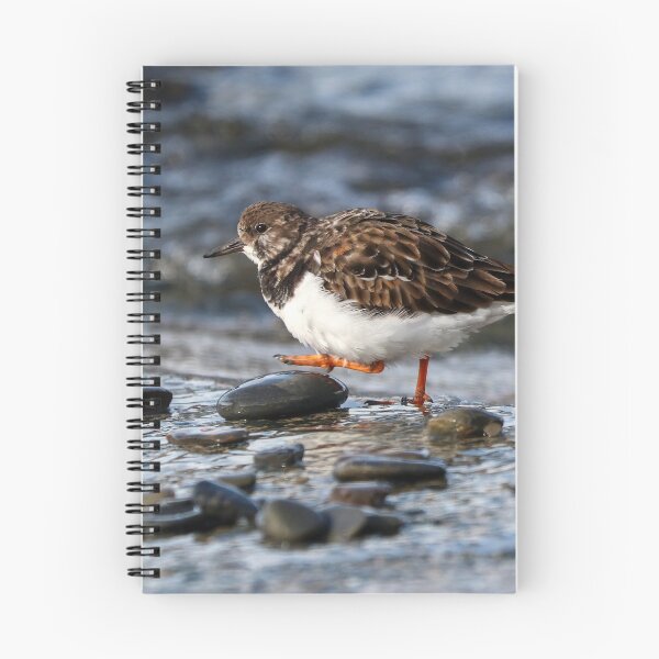 Item preview, Wading turnstone designed and sold by GreyFeatherPhot.
