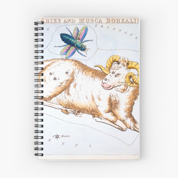 Item preview, Antique Constellation Map of Aries, Musca Borealis designed and sold by VintageArchive.