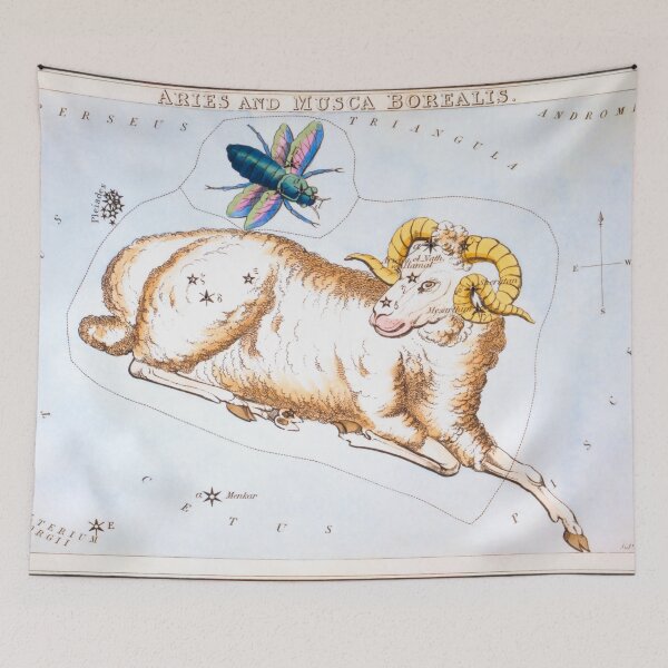Item preview, Antique Constellation Map of Aries, Musca Borealis designed and sold by VintageArchive.