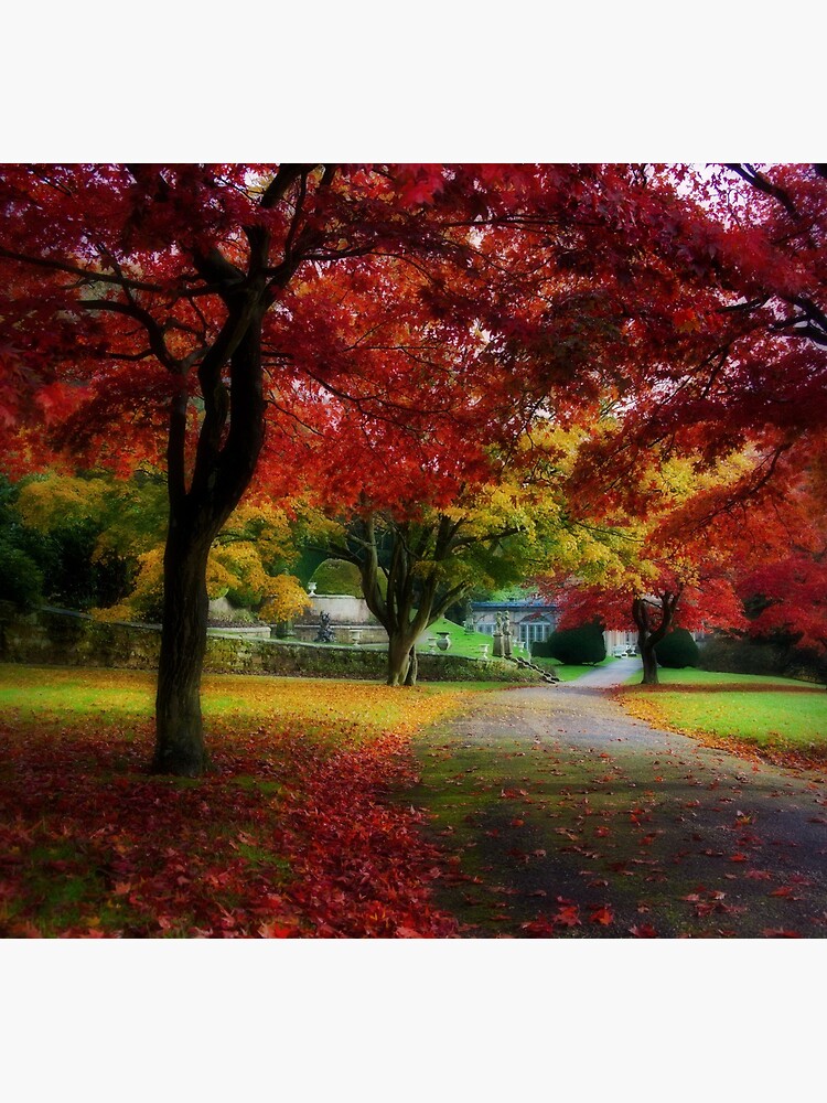 Autumn path by bcash