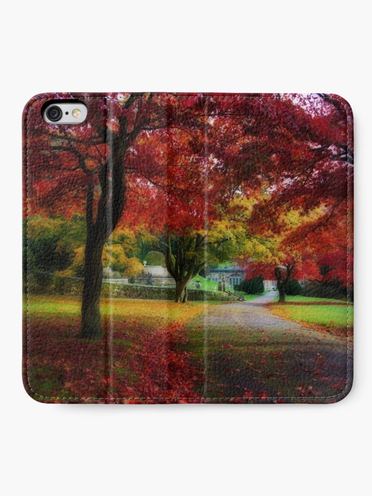 Alternate view of Autumn path iPhone Wallet