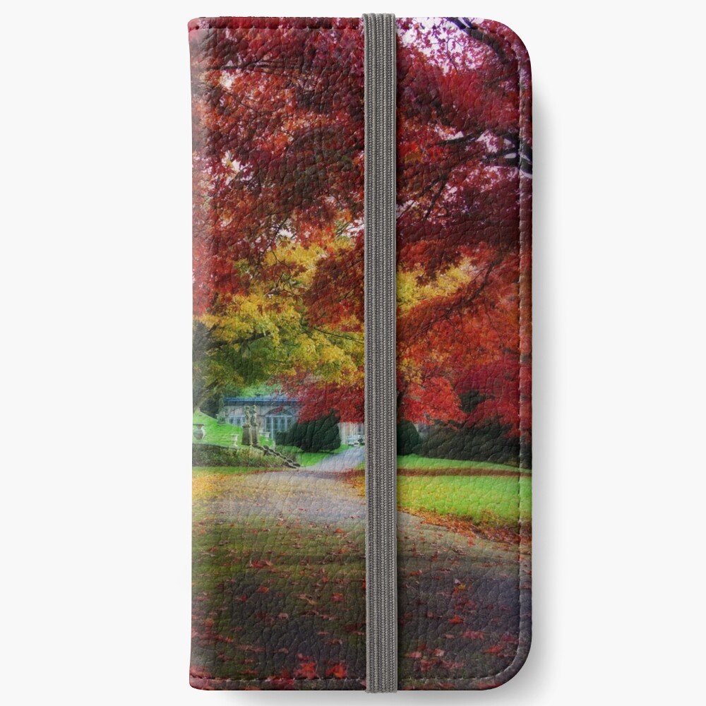 Autumn path iPhone Wallet