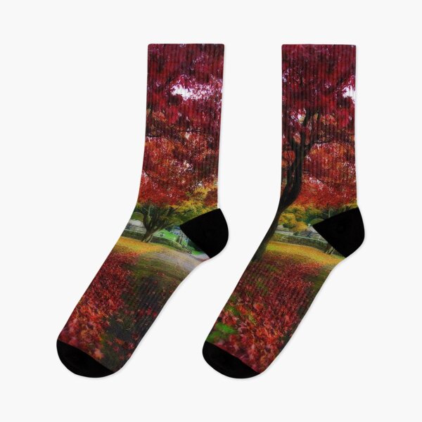 Item preview, Autumn path designed and sold by bcash.