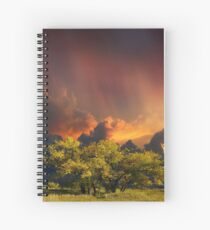 4007 Spiral Notebook