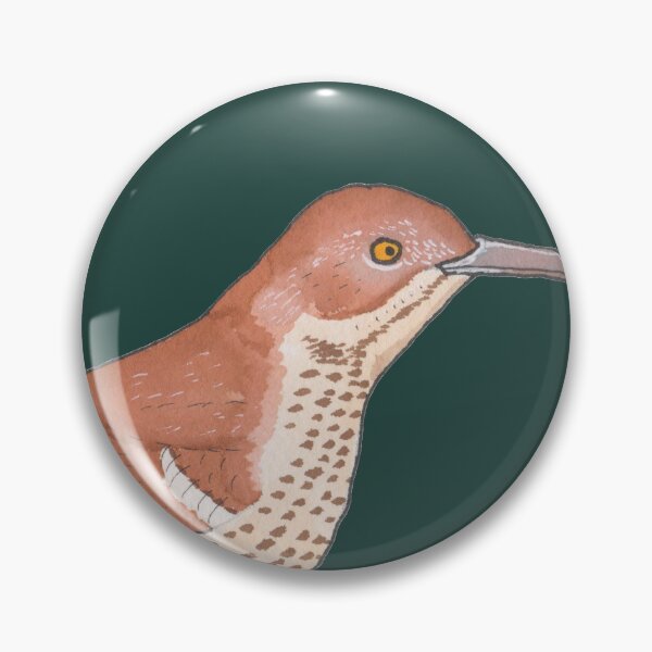 Item preview, Brown Thrasher bird species watercolor art designed and sold by TheWaterBirds.