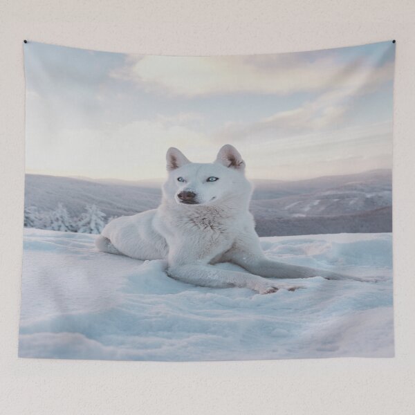 Item preview, Early Morning Snow Husky designed and sold by Alladin7.