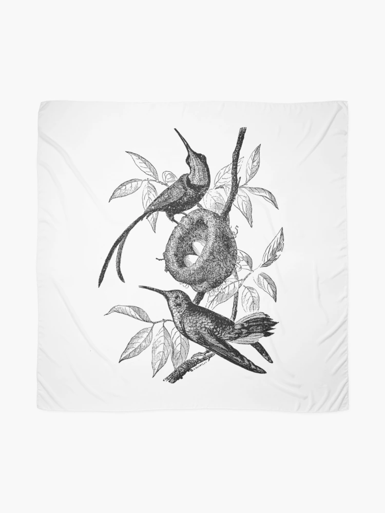 Vintage Hummingbird Bird Nest Illustration Retro 1800s Black and White  Hummingbirds Birds Nests with Eggs Image Scarf for Sale by SilverSpiral