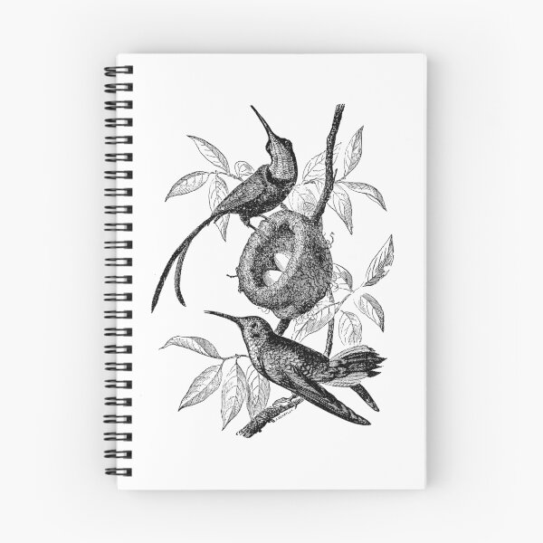 Item preview, Vintage Hummingbird Bird Nest Illustration Retro 1800s Black and White Hummingbirds Birds Nests with Eggs Image designed and sold by SilverSpiral.